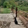 Anna - @annapuglia5 - TikTok