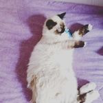 Anna Puglia - @pugliannamaria53 - Instagram