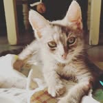 Anna Pullano - @anna_36cute - Instagram