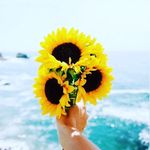 Anna_pullen.official - @anna_pullen.official - Instagram