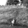 Anna Pullin - @annapullin - TikTok