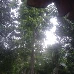 Anna Bandara - Facebook