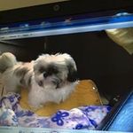 Anna Maria Pupo - @anna_maria_pupo - Instagram