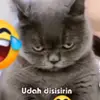 anna putra - @annaputra43 - TikTok