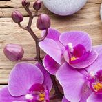 Anna Puzio - Facebook