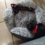 Anna Puzio - @puzio118 - Instagram