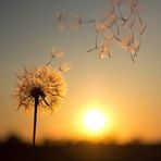Anna Pydyn - Facebook