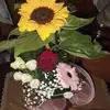 Anna Quarto - @anna.quarto4 - TikTok
