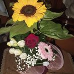 Anna Quarto - Facebook