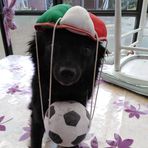 Anna Quarto - Facebook
