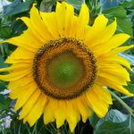 Anna Mafalda Quattrone - @annamafaldaquattron - Instagram