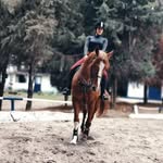 AnnaQueen - @soyannaqueen - Instagram