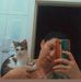 Anna Quezada - Facebook
