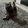 Anna - @annamariarantala - TikTok