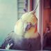 Anna Ryburn - Facebook