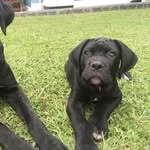 Ana Maria Anan Recupero - @ananrecupero - Instagram