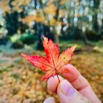 Anna Redfern - Facebook