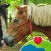 Anna Reeves - Facebook