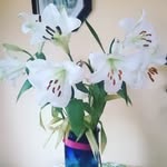 Anna Reilly - @annareilly535 - Instagram