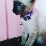 Anna Luiza Reinert - @anna_reinert10 - Instagram