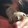 Anna Revelli - @anna.revelli - TikTok
