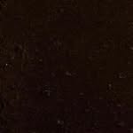 Andrey_bel270 - @anna_ridgens - Instagram