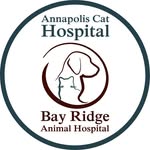 AnnapolisCat+BayRidge A.H. - @annapoliscatbayridge - Instagram