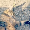 AnNa_RiEkE - @anna_rieke - TikTok