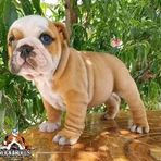 Anna Rita - Facebook