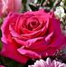Anna Rogowska - Facebook