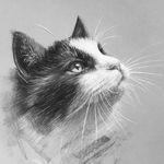 Anna Rosenberg - @annarosenberg_art - Instagram