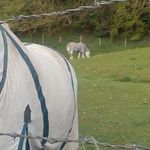Grace jo Anna rossiter - @g.j.a.r_83 - Instagram