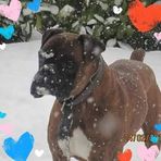 Anna Rotella - Facebook