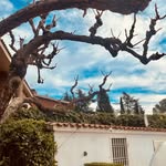 Anna Royo Ferreres - @anna_arf - Instagram