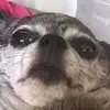 anna._.ruano - @anna._.ruano - TikTok