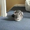 Anna sacks - @anna.sacks0 - TikTok