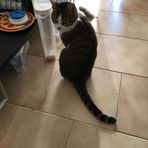 Anna Salomone - Facebook
