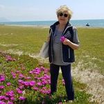 Anna Salomone - @anna.salomone.351 - Instagram