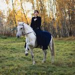 КОННЫЙ КЛУБ МОСКВА  АРЕНДА ЖИВОТНЫХ ЗООПСИХОЛОГ - @annasalt666 - Instagram
