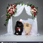 Anna Salvati - @anna.salvati.77964 - Instagram