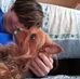Anna Sanneris - Facebook