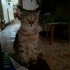 annasannikova4 - @annasannikova4 - TikTok