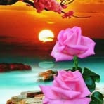 Anna Santangelo - Facebook