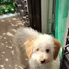 anna sartori435 - @annasartori435 - TikTok