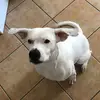 anna.sartori - @anna.sartori - TikTok