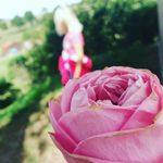 Anna Sattler - @annasattler931 - Instagram