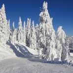 Anna Sattler - Facebook
