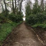 Anna Scanlon - @scanlonanna - Instagram