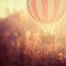 Anna Scanlon - @annalynbananafofanna - TikTok