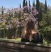 Anna Scheiling - Facebook